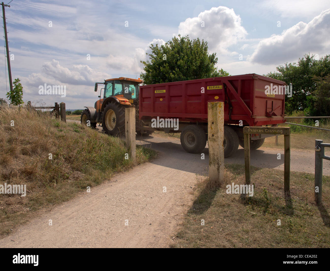 crops wheat cornfield farming agriculture field spring green food property real estate