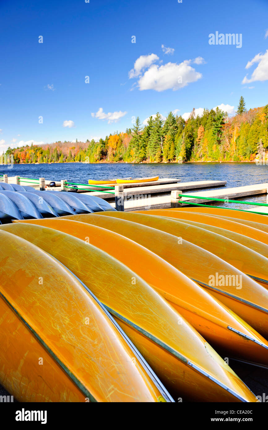 Canoes for rent on fall lake in Algonquin Park, Ontario, Canada Stock Photo