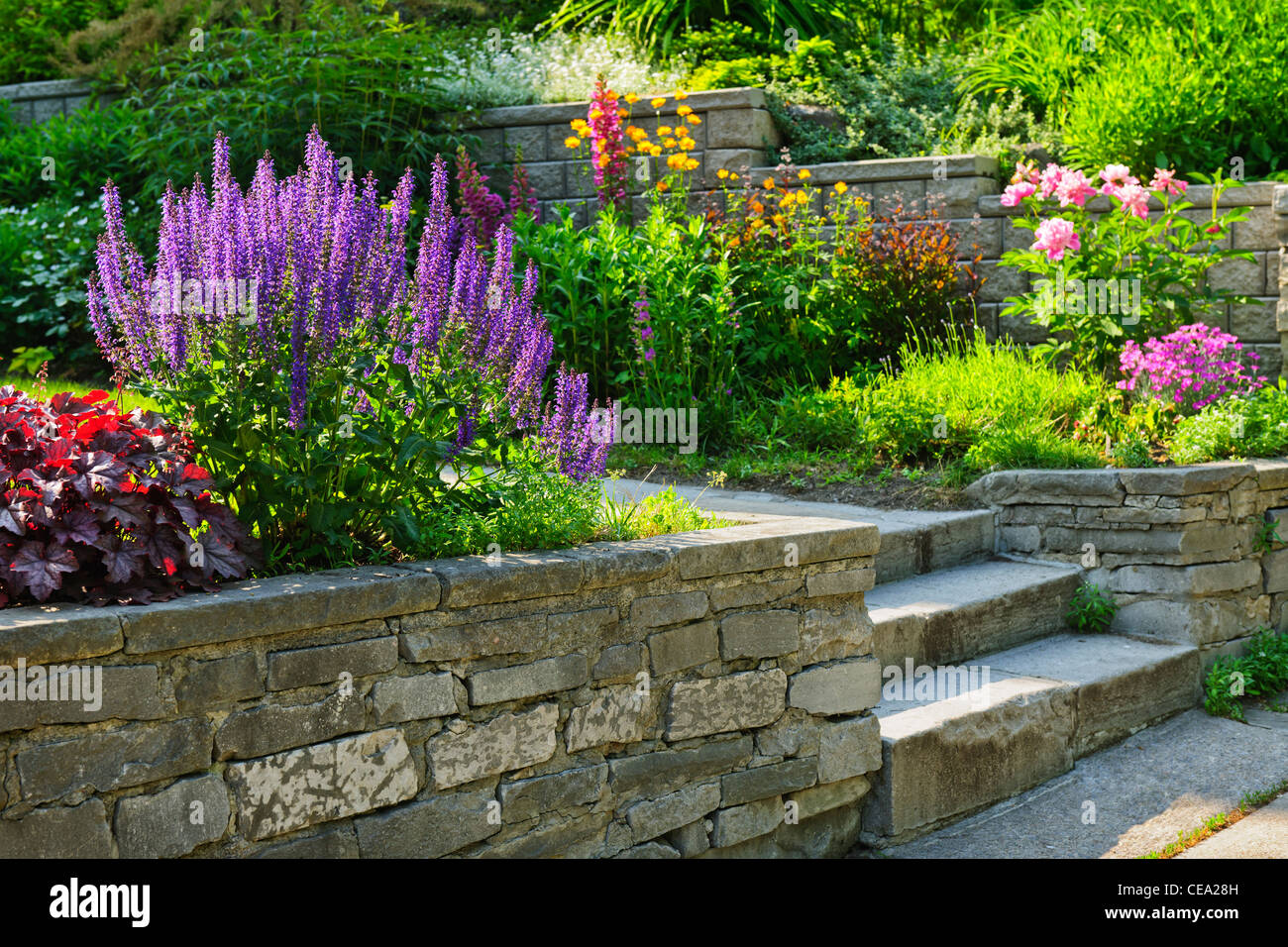 Natural stone landscaping in home garden with steps and flowerbeds Stock  Photo - Alamy, image size:1300x956