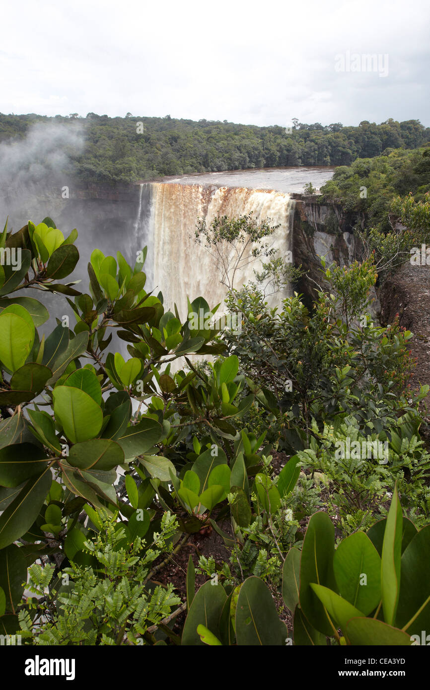 Kaieteur Falls, Potaro River, Guyana, South America, Reputedly The ...