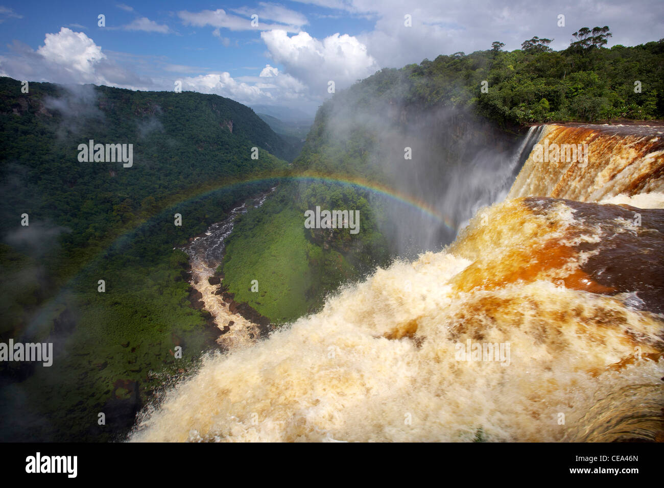 Kaieteur Falls, Potaro River, Guyana, South America, reputedly the world's largest singledrop