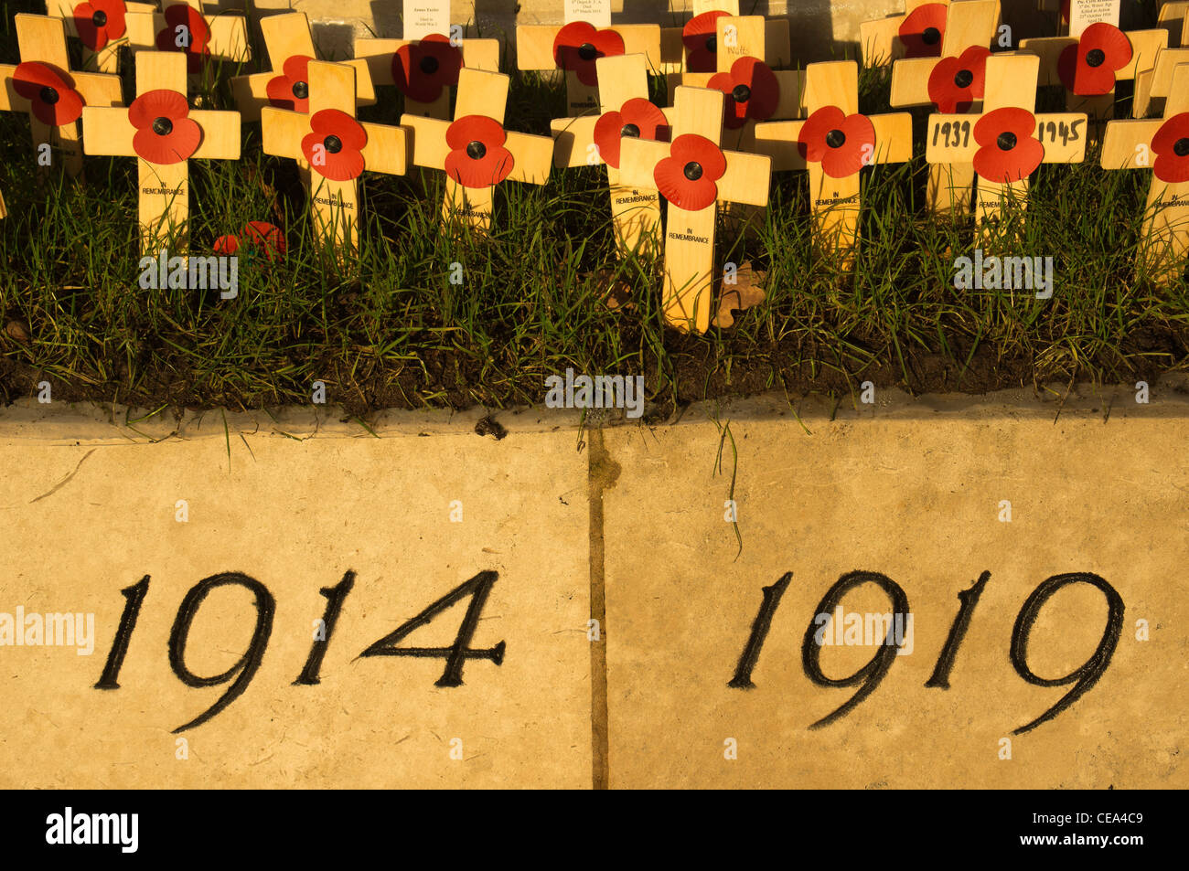 Remembrance Sunday Poppy Poppies Stock Photo Alamy Remembrance Sunday Poppy Poppies Stock Photo Alamy