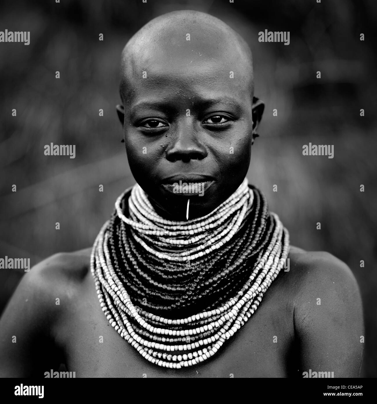 Portrait Of Young Karo Woman With Beaded Jewels And Shaved Head Omo Valley Ethiopia Stock Photo