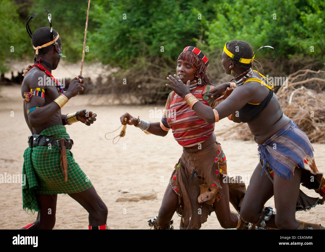 Hamer Woman Fighting To Be Flogged First By Great Whipper During Celebration Bull Jumping Ceremony Ethiopia Stock Photo