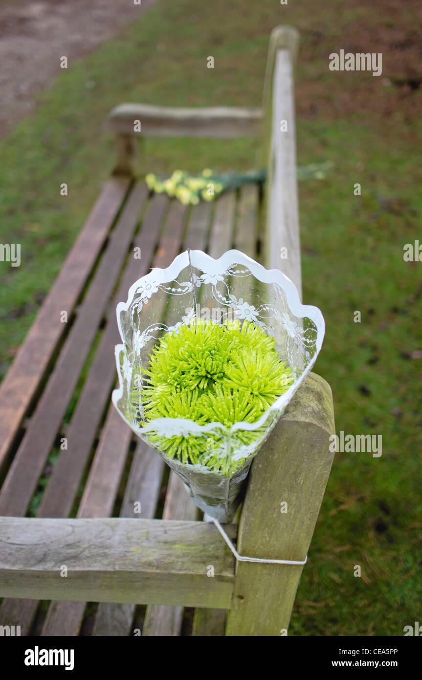 Living in the woods europe hi-res stock photography and images - Alamy