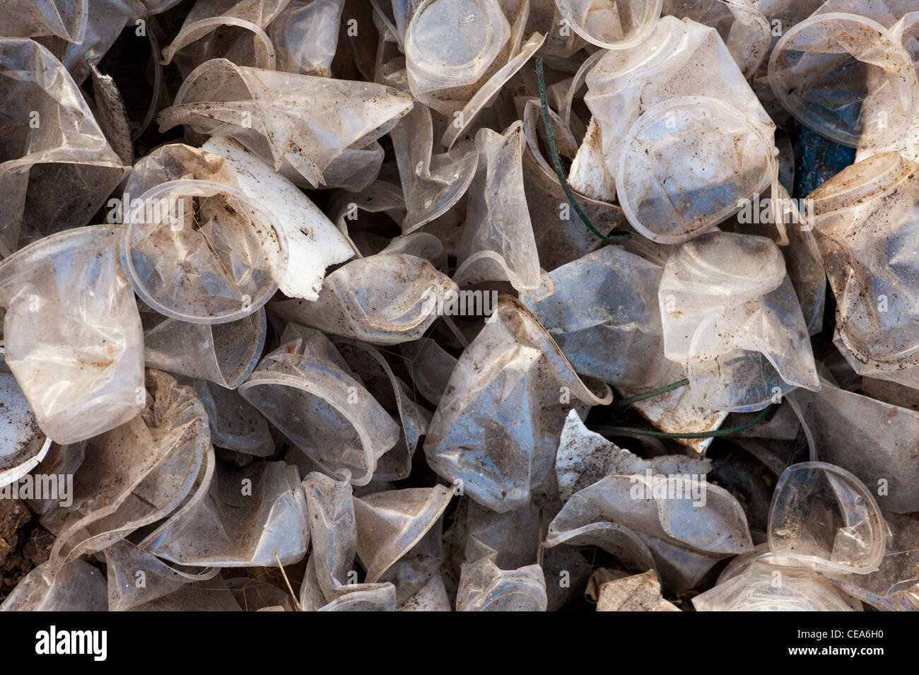 Discarded plastic tea cups in the Indian countryside. Andhra Pradesh, India Stock Photo