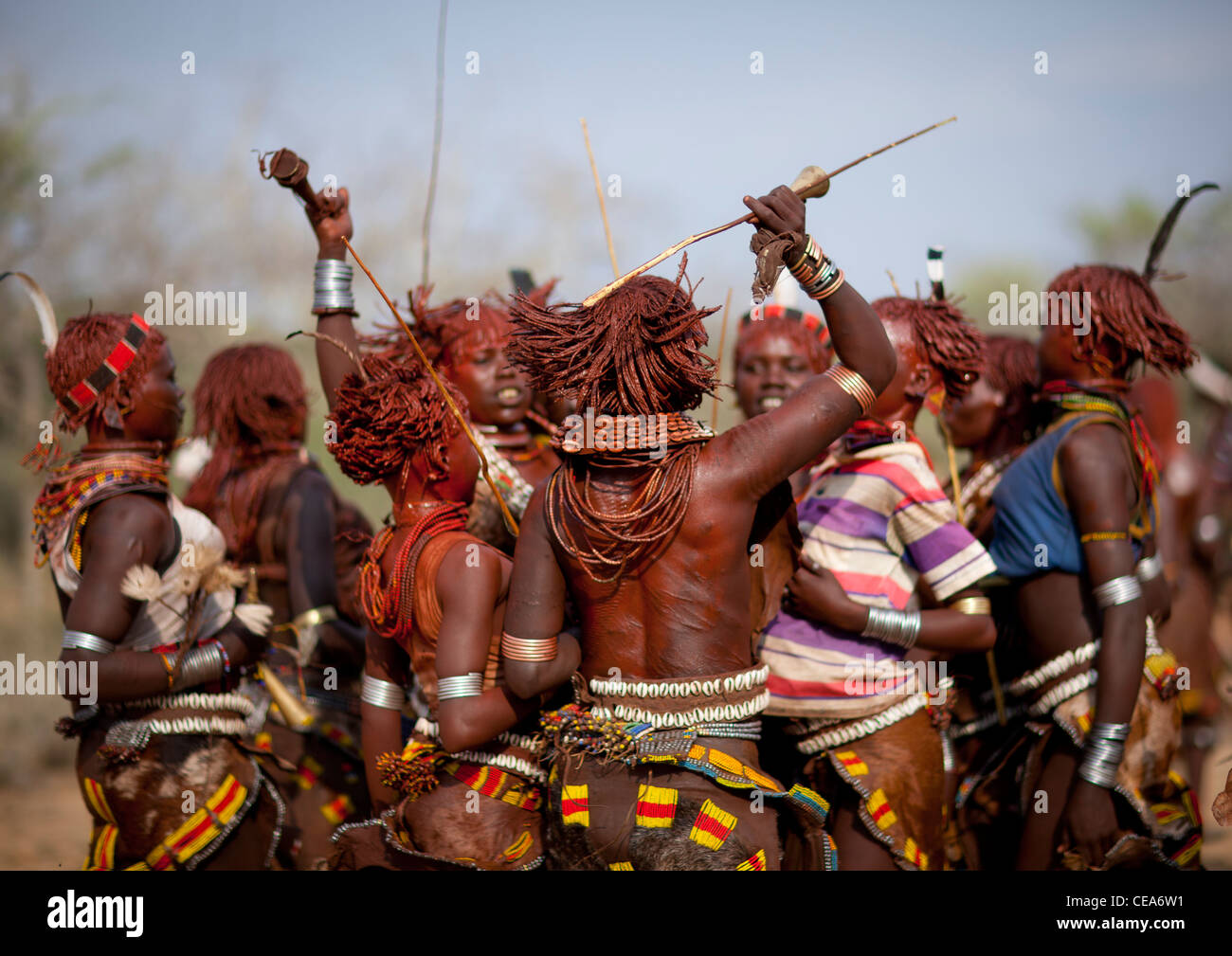 Hamer People Celebrating Bull Jumping Ceremony By Traditional Ritual Dances And Music Omo Valley Ethiopia Stock Photo