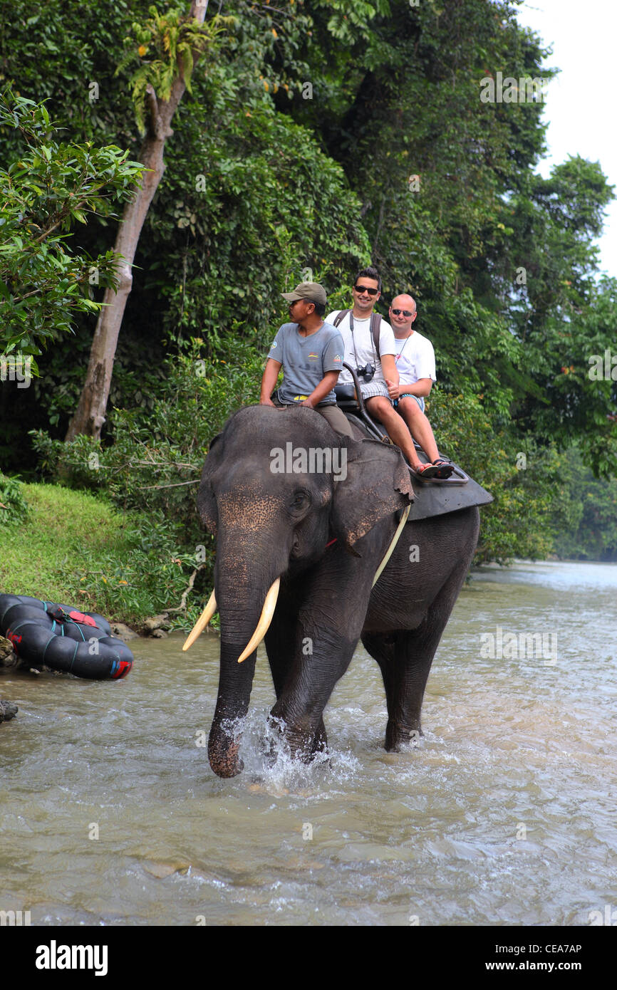 Elephant trekking in Tangkahan on the edge of Gunung Leuser National Park. Stock Photo