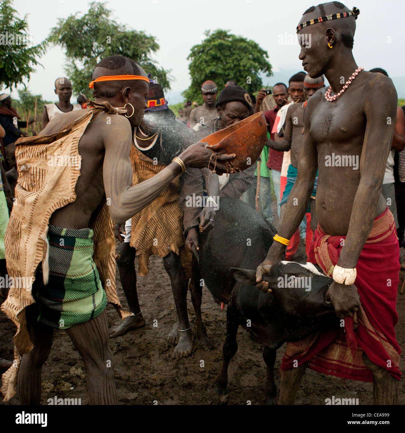 Kael new year ceremony in Bodi tribe, Omo valley, Ethiopia Stock Photo