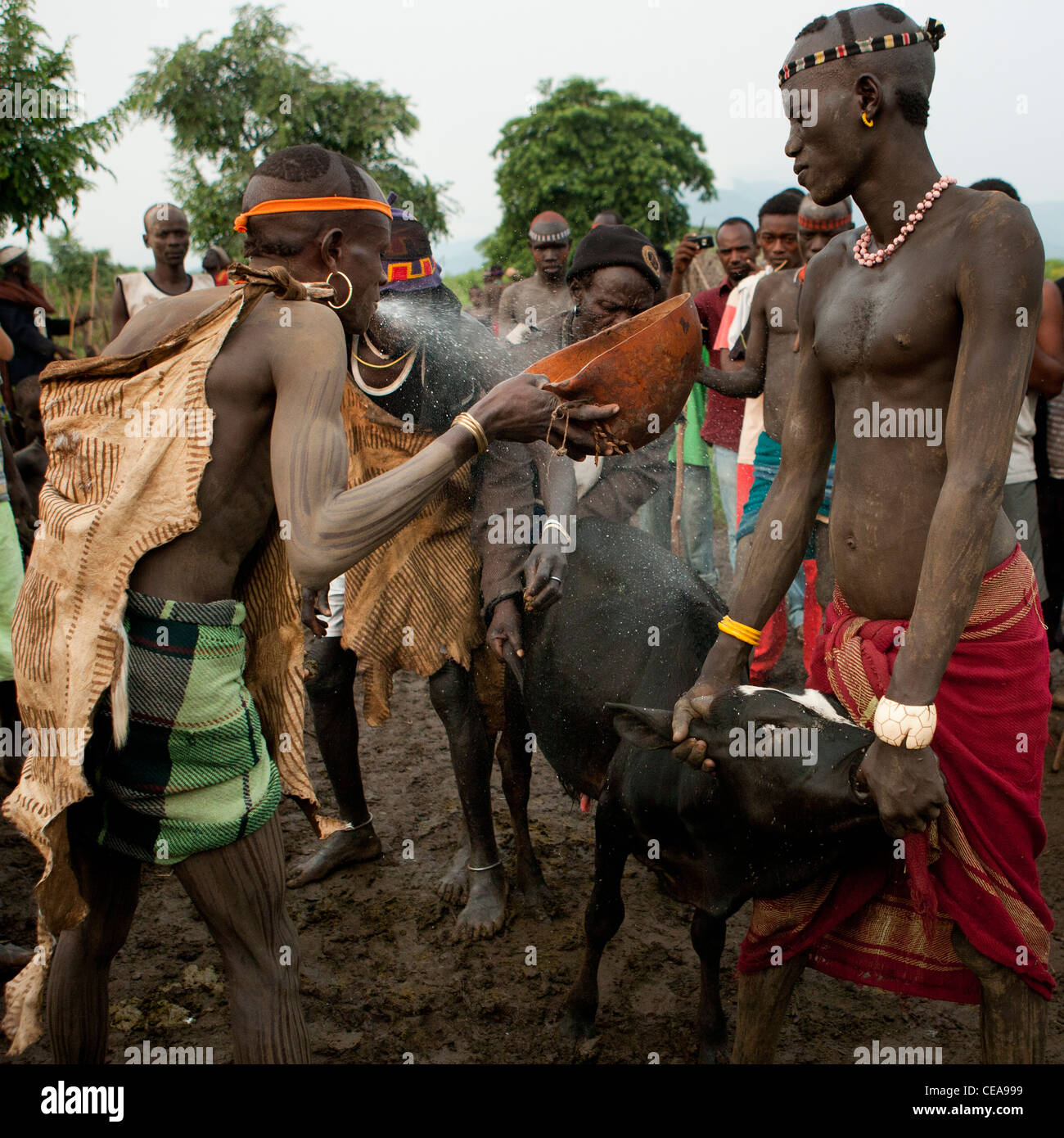 Kael new year ceremony in Bodi tribe, Omo valley, Ethiopia Stock Photo ...