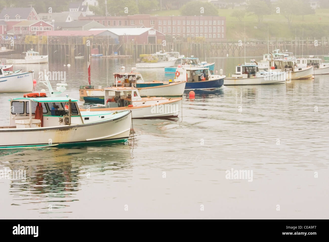 Lobster boats in Bass Harbor Bernard Mount Desert Island Maine Stock