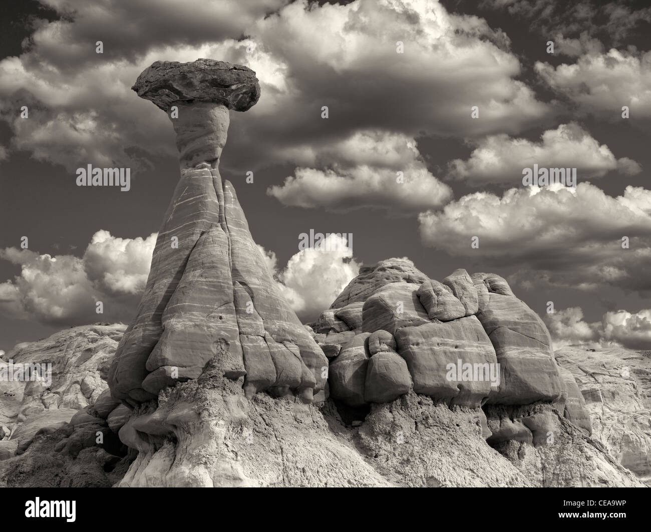 Hodoos at Toadstool formation in Escalante Staircase National Monument, Utah Stock Photo