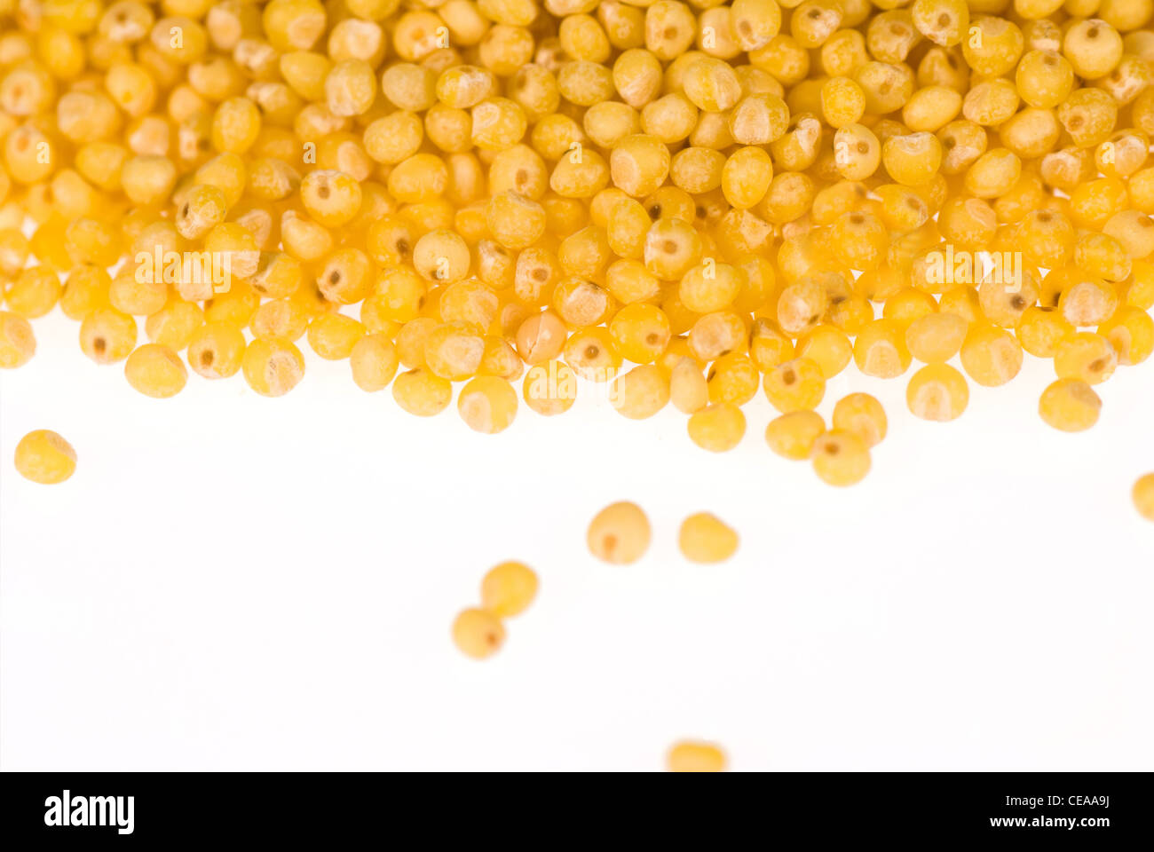 Uncooked millet seeds isolated on white background Stock Photo Alamy