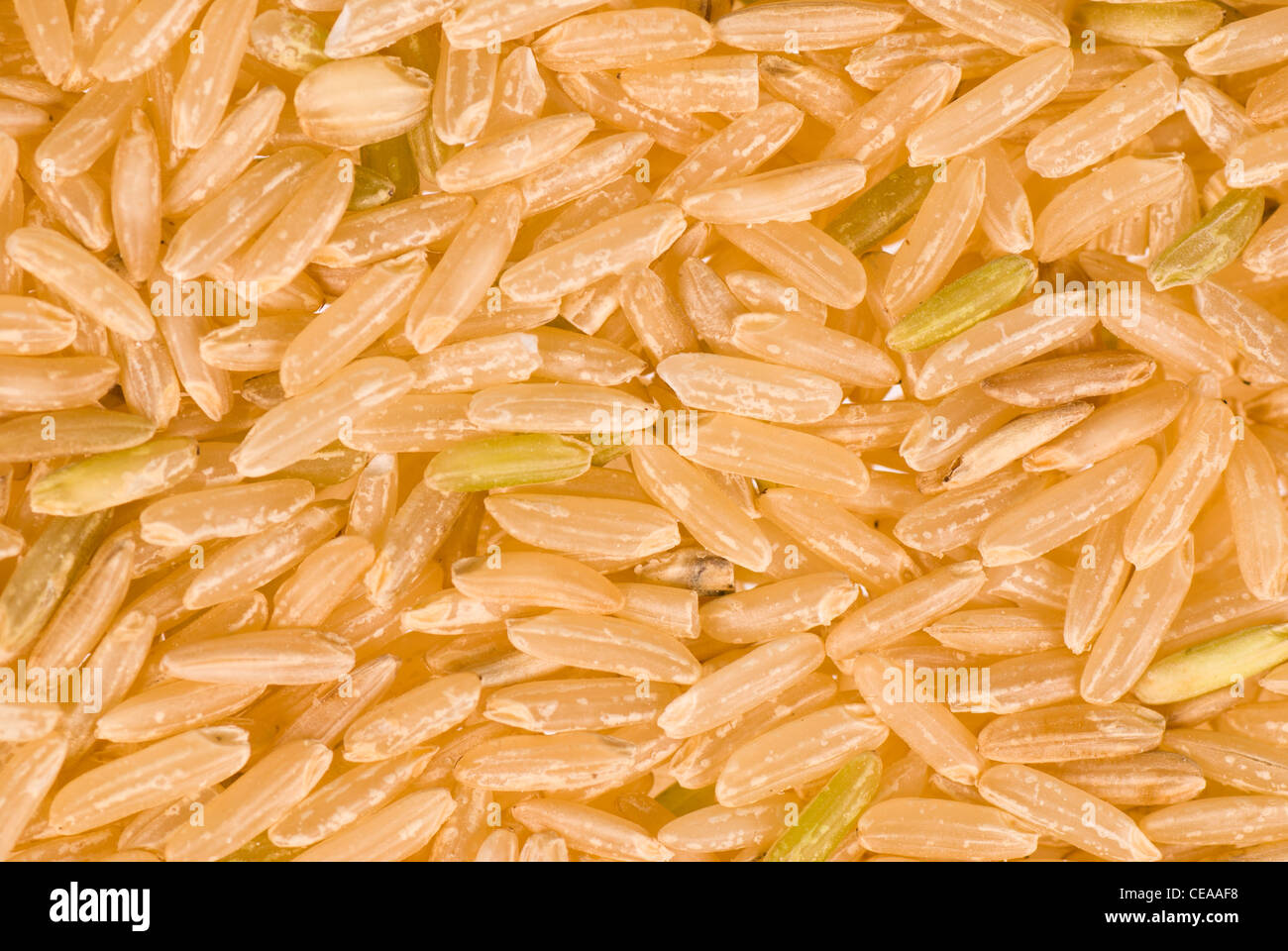 A full frame take of whole rice Stock Photo - Alamy