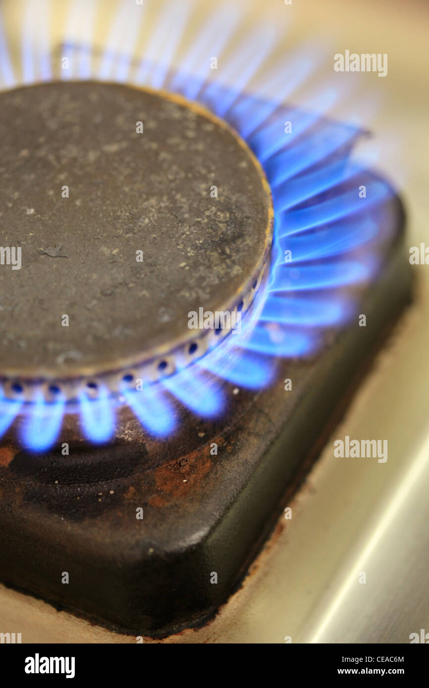 Closeup of a blue gas stove flame Stock Photo Alamy