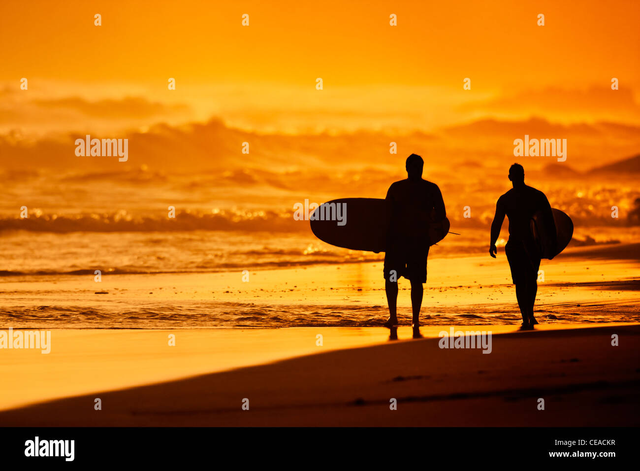 Silhouettes of Surfers on the Beach at Sunset Stock Photo - Alamy