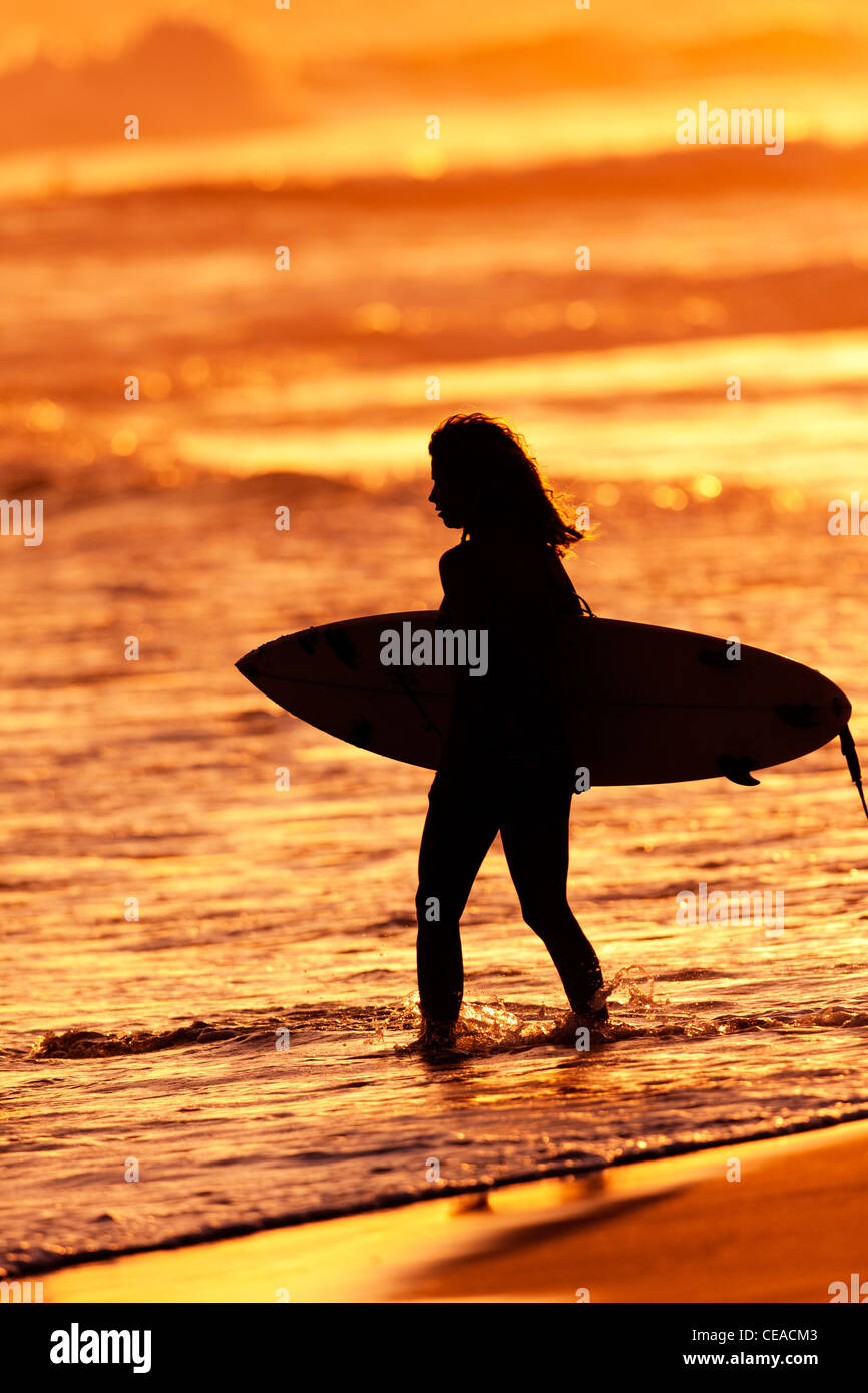 Silhouettes of Surfer on the Beach at Sunset Stock Photo - Alamy