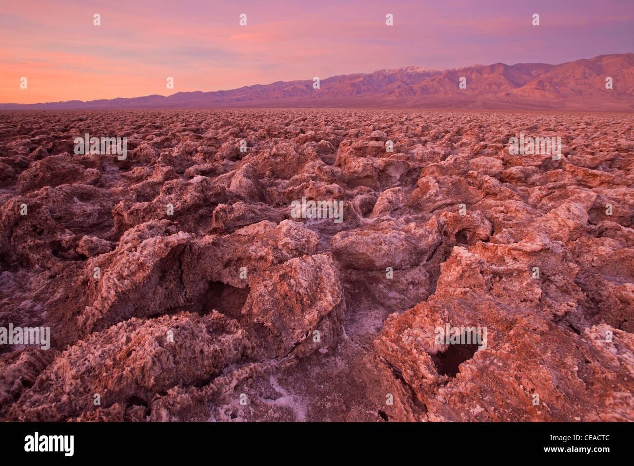 Death valley devil's golf course hi-res stock photography and images ...