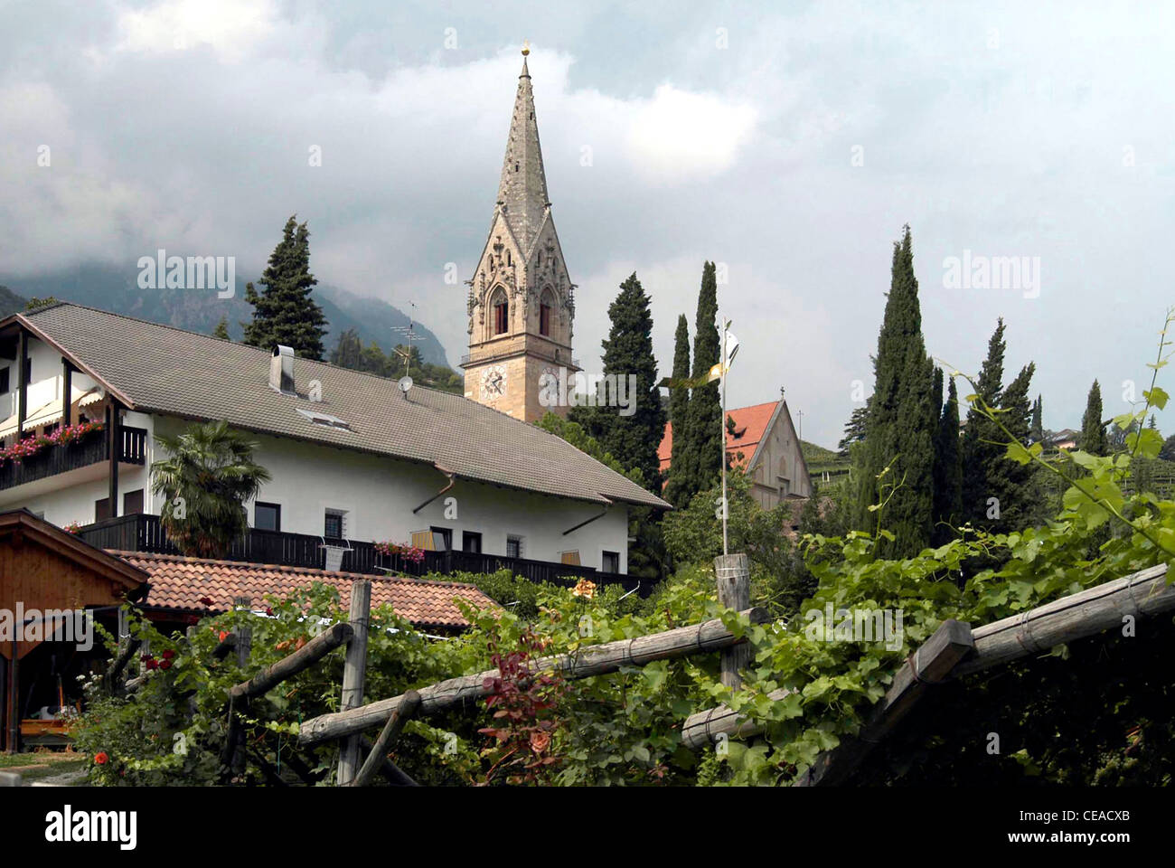 Gothic Parish Church Of Tramin At The South Tyrolean Wine Route Stock Gothic Parish Church Of Tramin At The South Tyrolean Wine Route Stock