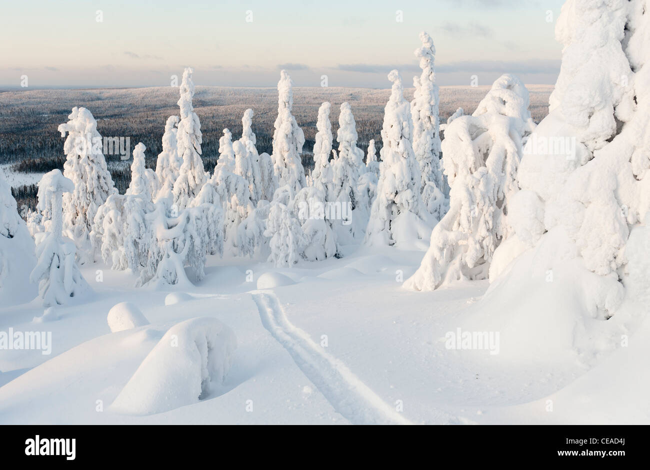Snow-clad views of Iso-Syöte, Finland Stock Photo