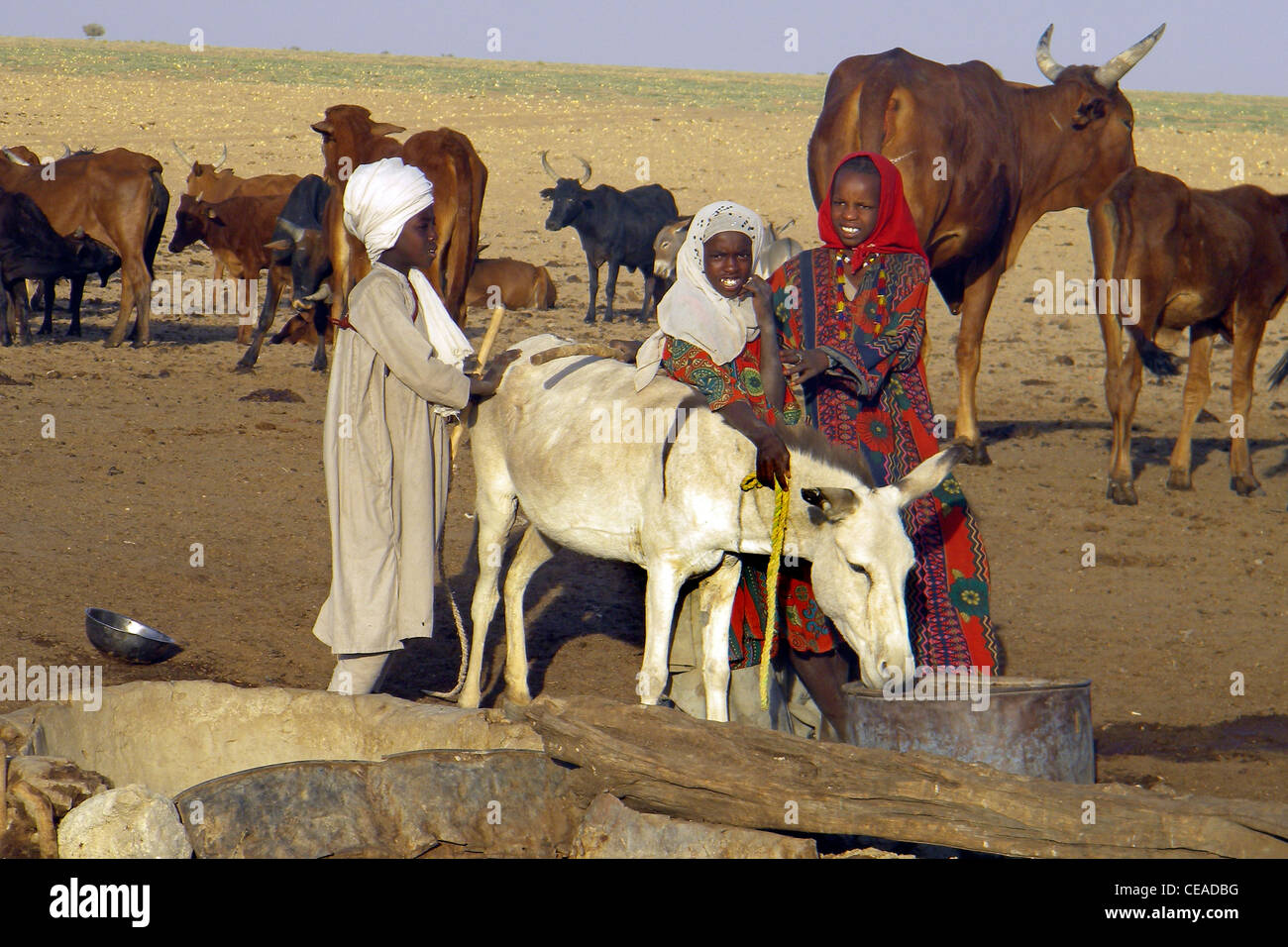 Arab tribe, Bahar el Gazal, Chad Stock Photo