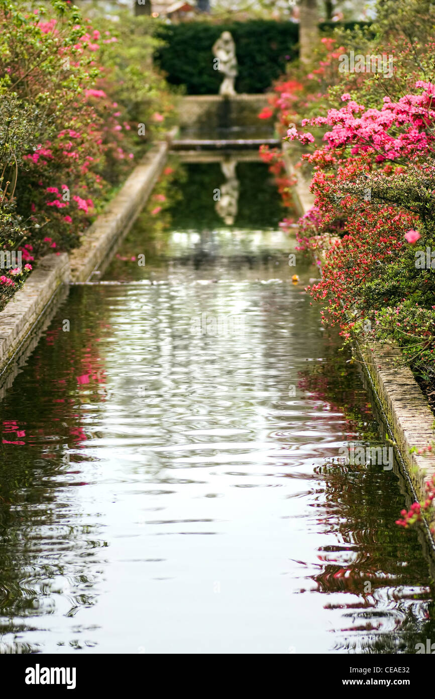 Pond with blooming azalea and statue in formal garden in spring Stock Photo