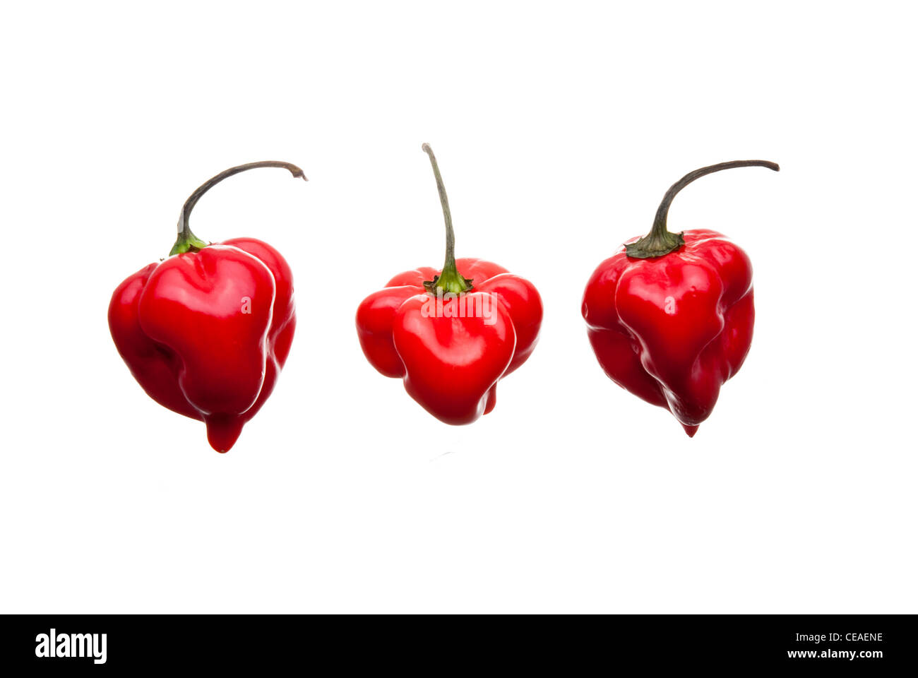 3 peppers hi-res stock photography and images - Alamy