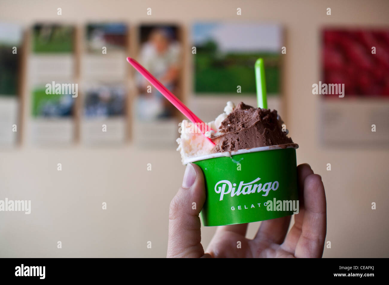A cup of Pitango gelato with 2 flavors in the Fells Point neighborhood of Baltimore, MD. Stock Photo