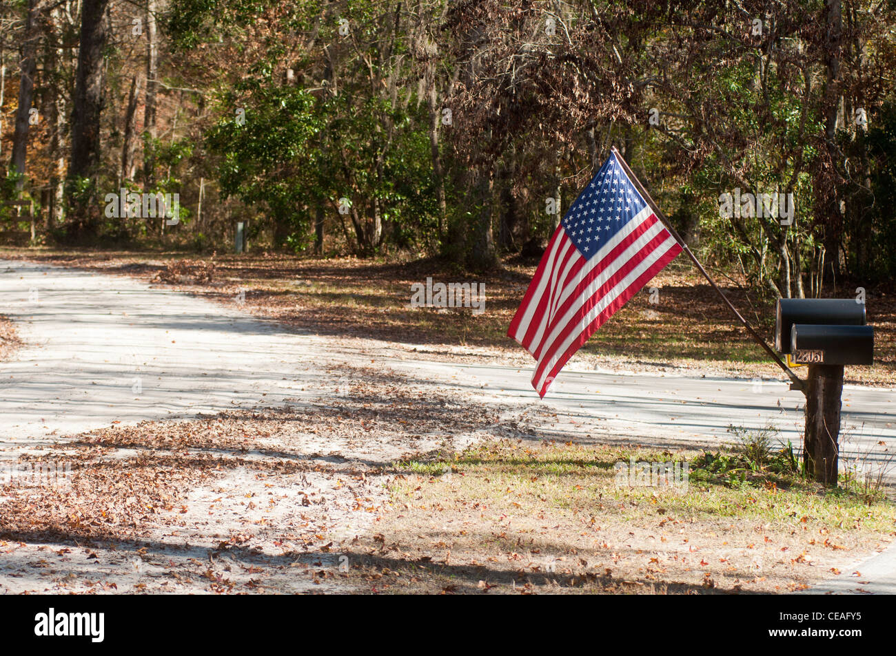 American Flag Attached To The Letter Box Near The Forrest Drive United 