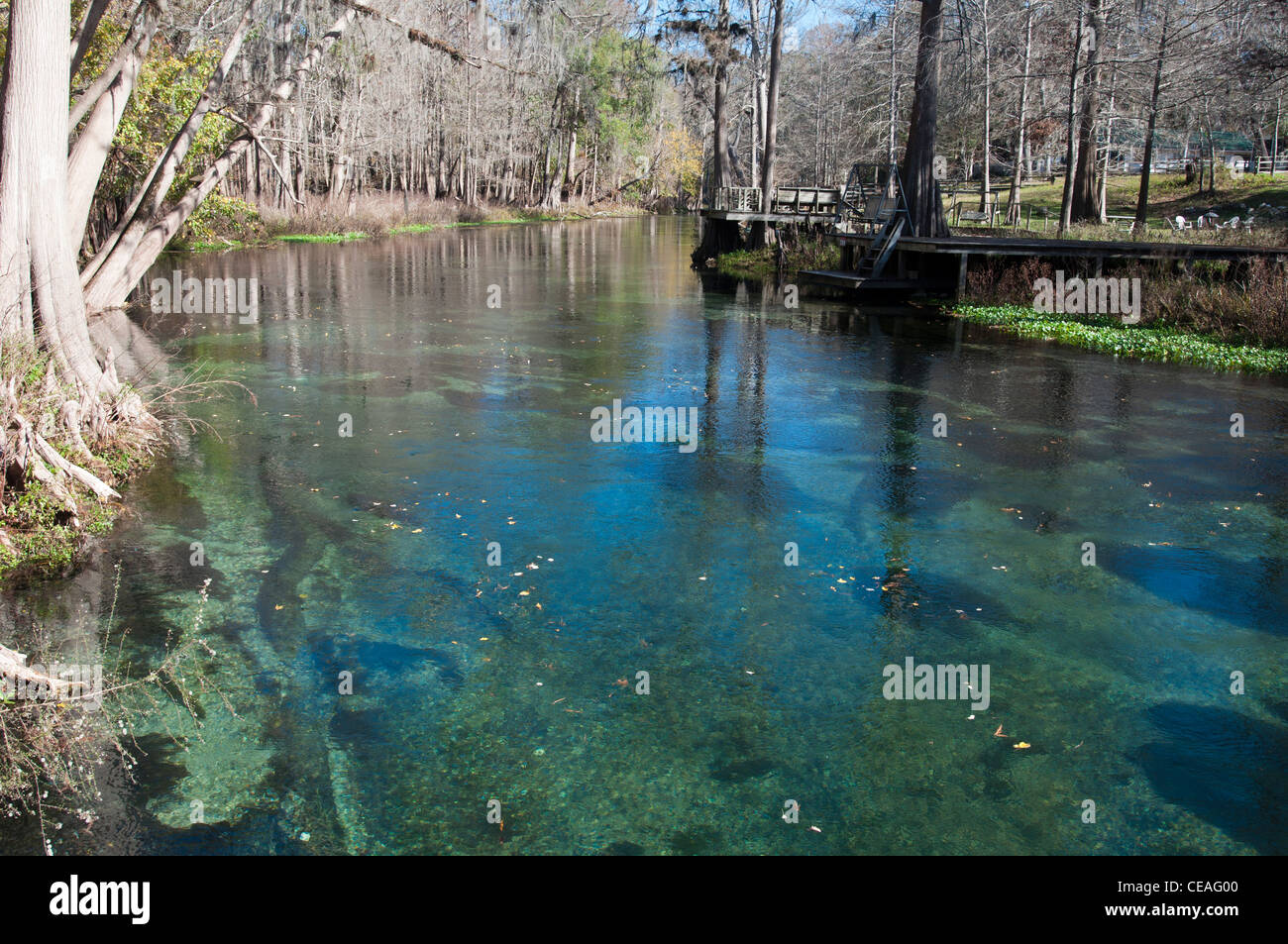 Ichetucknee hires stock photography and images Alamy