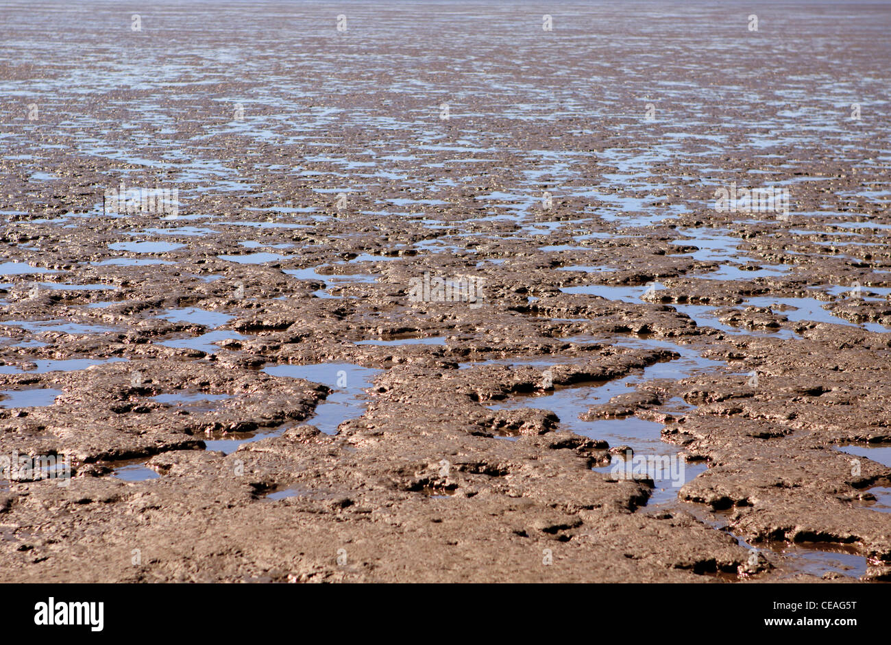 Tropical mudflats hires stock photography and images Alamy