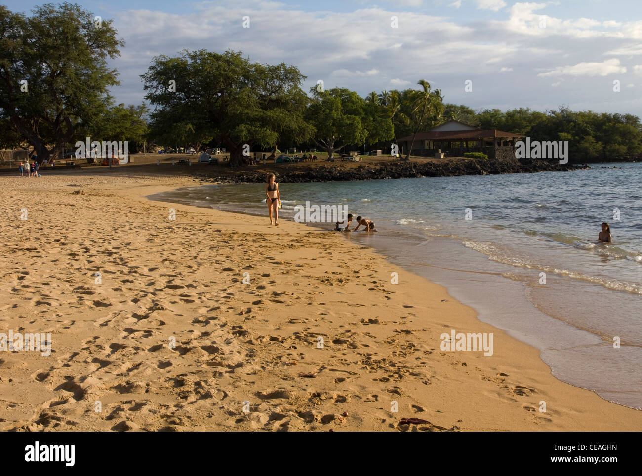 Spencer Beach Park, Kohala Coast, Big Island, Hawaii Stock Photo - Alamy