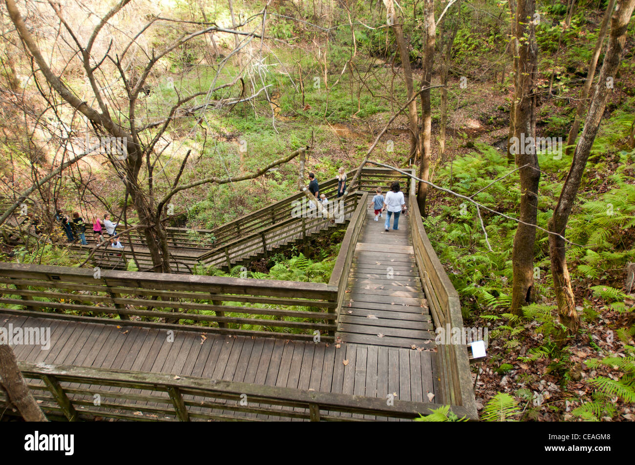 Devils millhopper florida hires stock photography and images Alamy