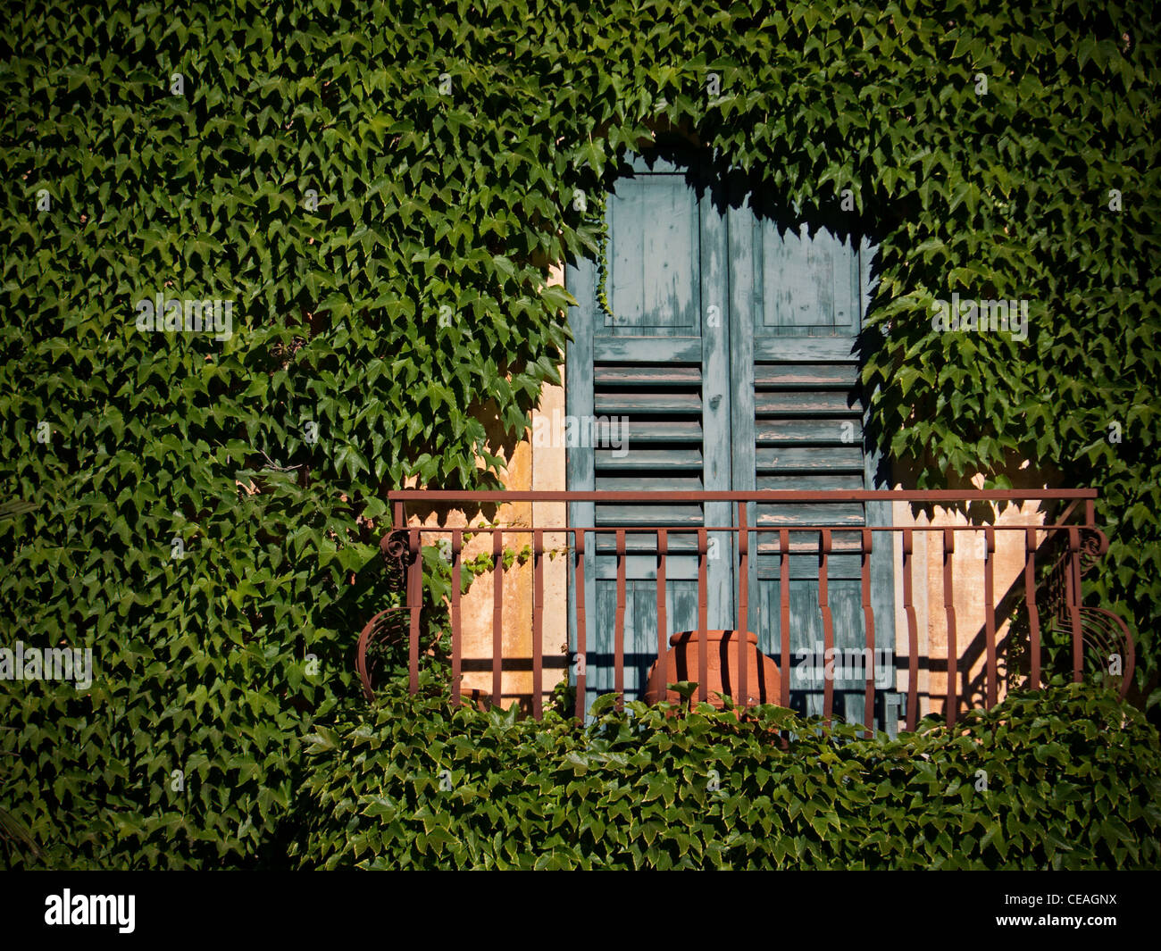 Vine growth has all but covered this building in Italy leaving the