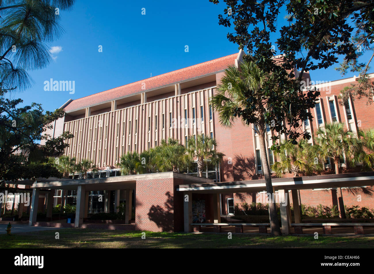 Library West building,  University of Florida, Gainesville, Florida, USA, United States, North America, architecture Stock Photo