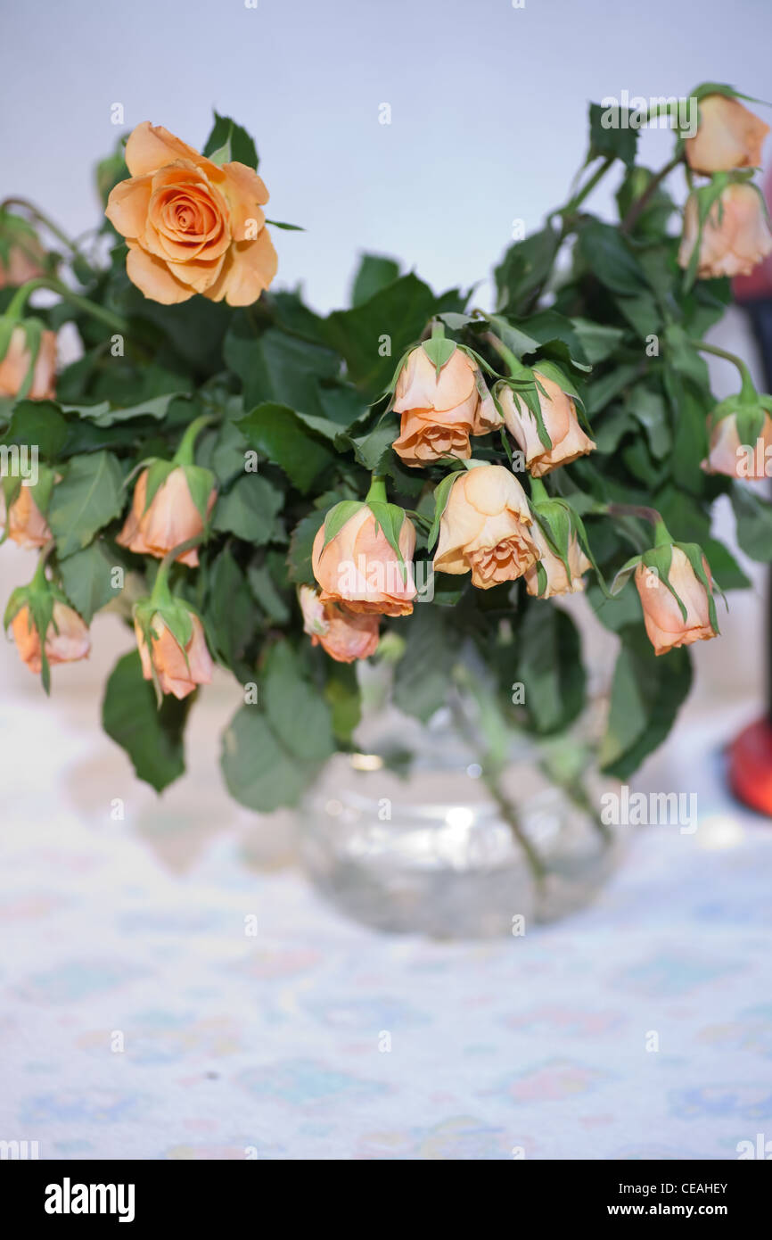 Wilting flower hires stock photography and images Alamy