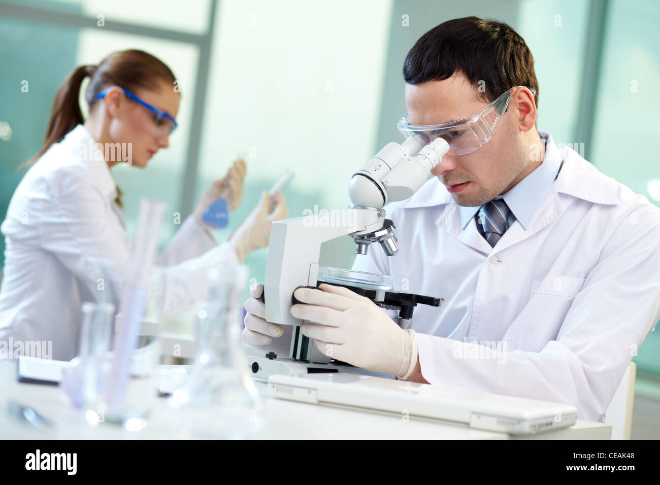 Two scientists conducting research in a lab environment Stock Photo