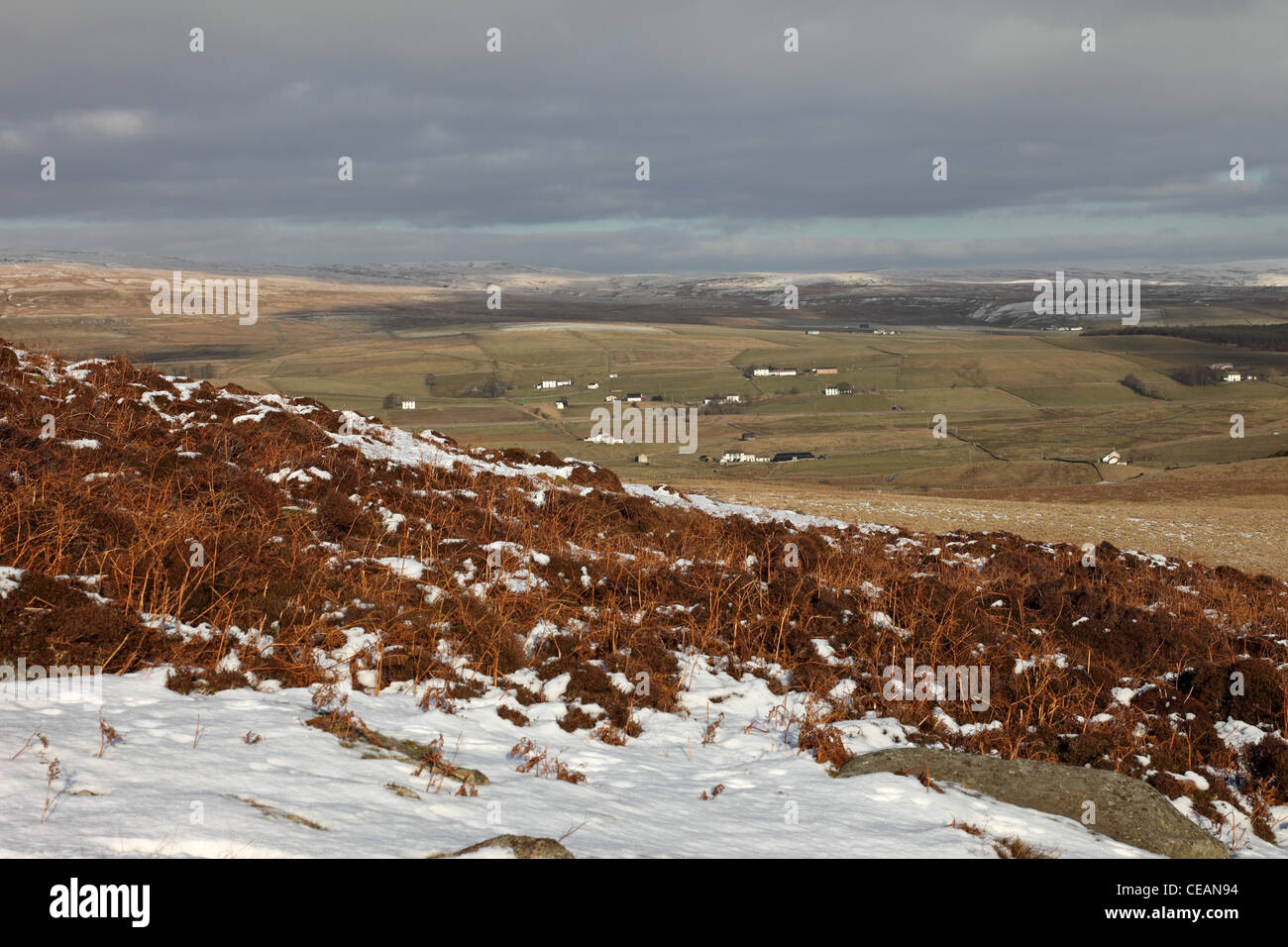 The View Across Forest in Teesdale From the Green Trod Footpath at Birk Rigg Cronkley Fell Upper Teesdale County Durham UK Stock Photo