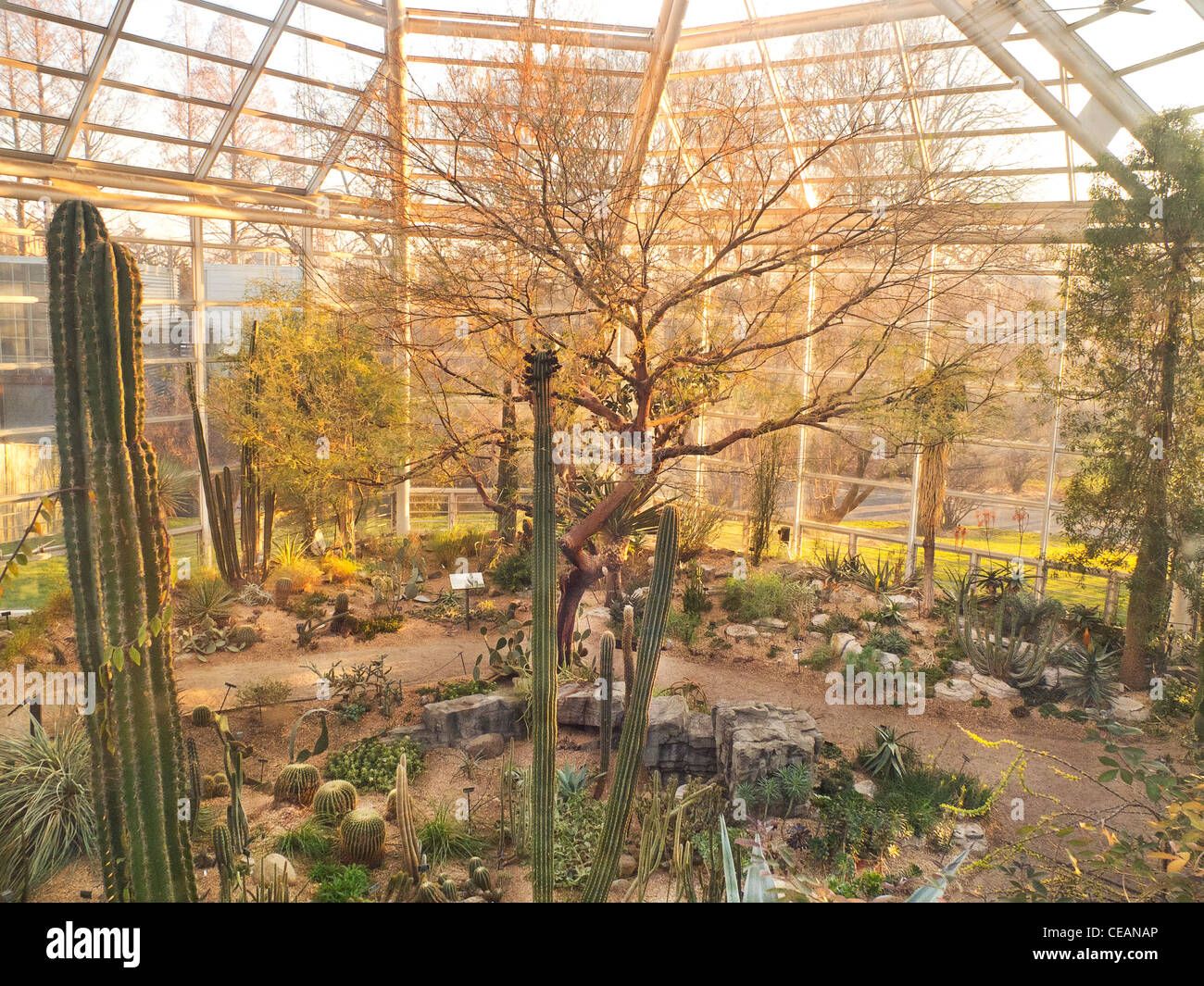 Brooklyn Botanic garden grounds in Brooklyn NYC Stock Photo Alamy