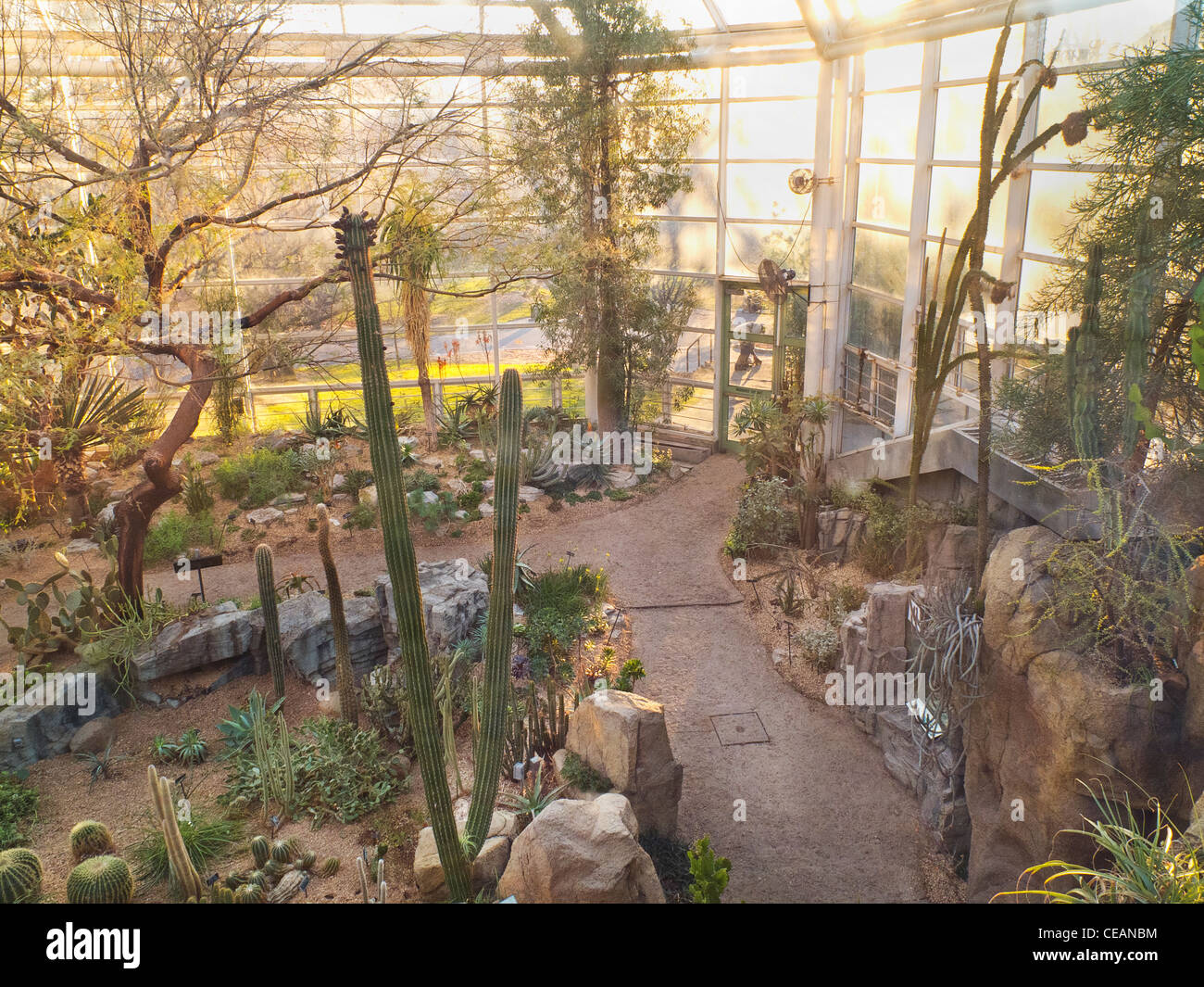 Brooklyn Botanic garden grounds in Brooklyn NYC Stock Photo Alamy