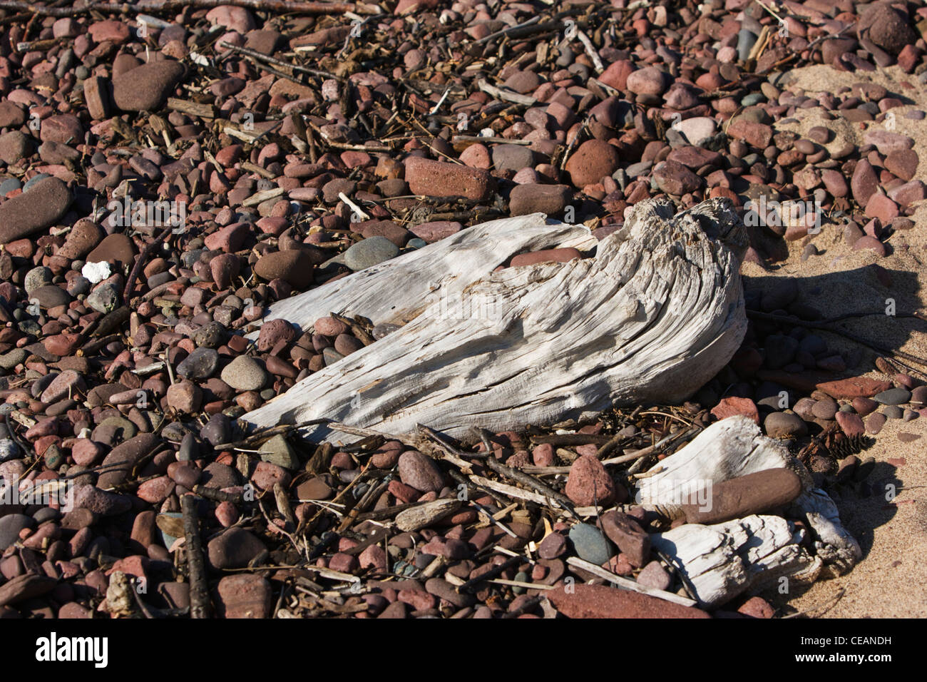 Sun bleached driftwood surrounded by basalt rocks on a Lake Superior