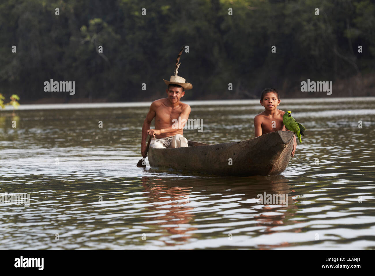 Amerindian villager and young boy with parrot paddle a dugout canoe along the Rewa River, Rewa, Guyana, South America. Stock Photo