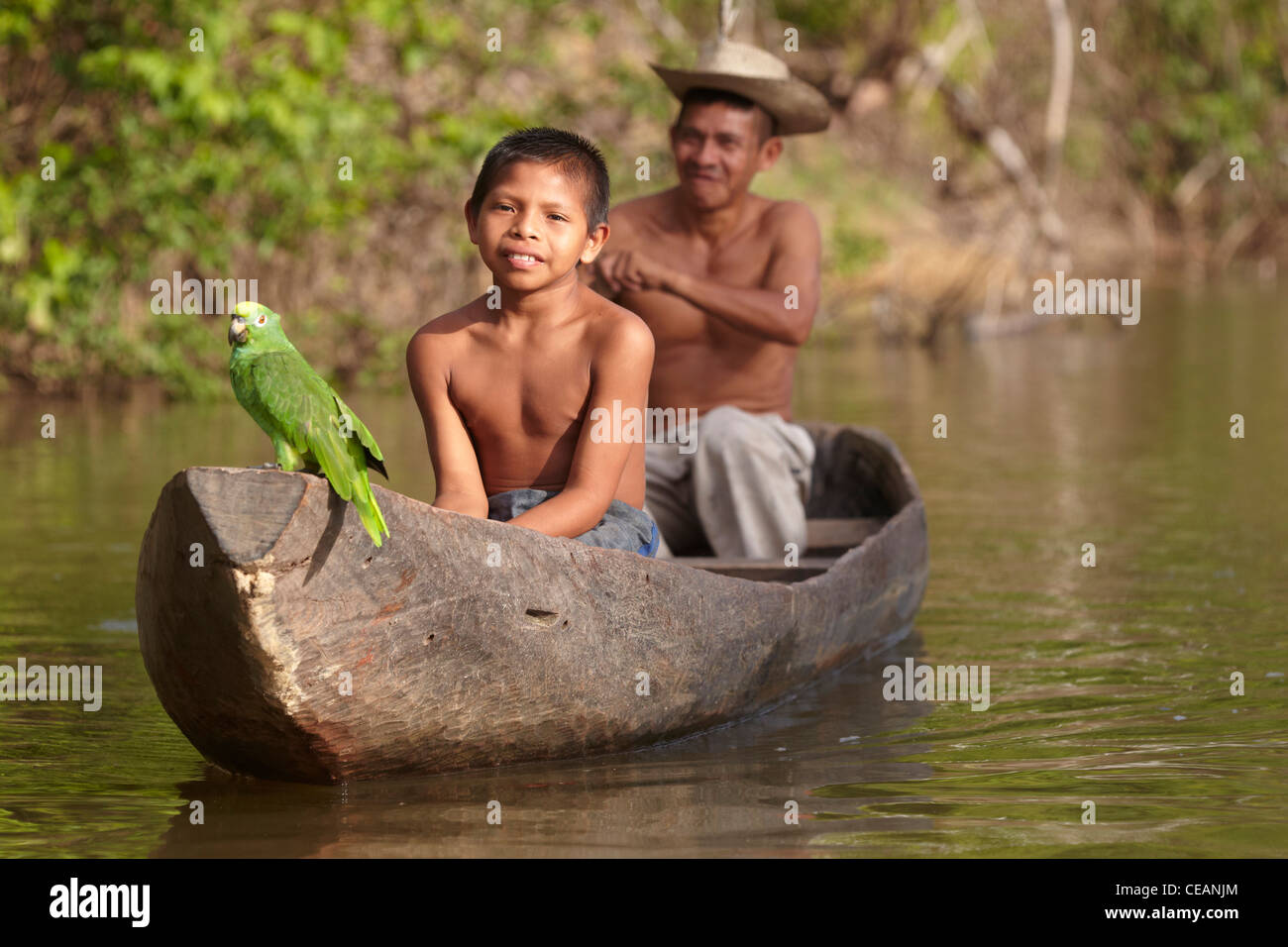 Amerindian villager and young boy with parrot paddle a dugout canoe along the Rewa River, Rewa, Guyana, South America. Stock Photo