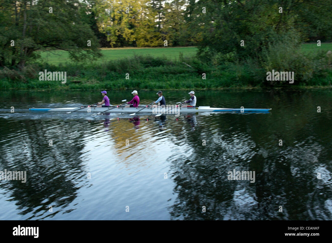 Coxless four rowing boat hi-res stock photography and images - Alamy