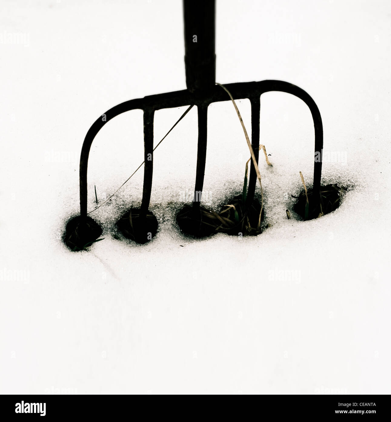 Pitchfork in snow Stock Photo Alamy