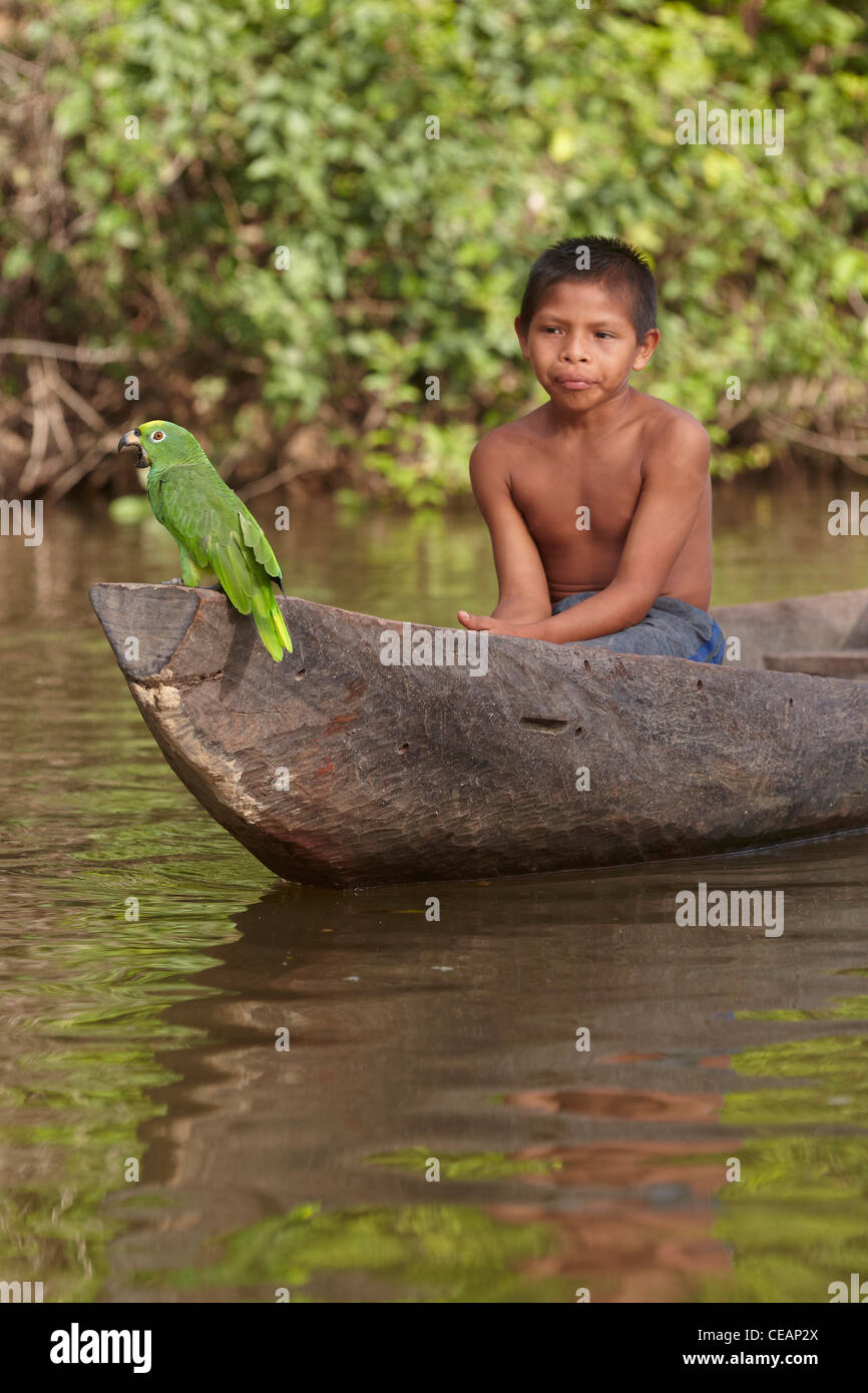 Amerindian boy with parrot in a dugout canoe on the Rewa River, Rewa, Guyana, South America. Stock Photo