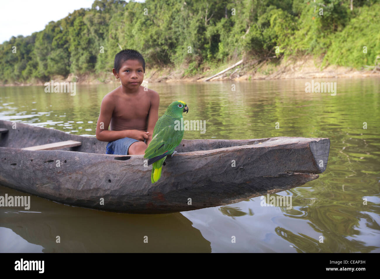 Amerindian boy with parrot IN a dugout canoe on the Rewa River, Rewa, Guyana, South America. Stock Photo