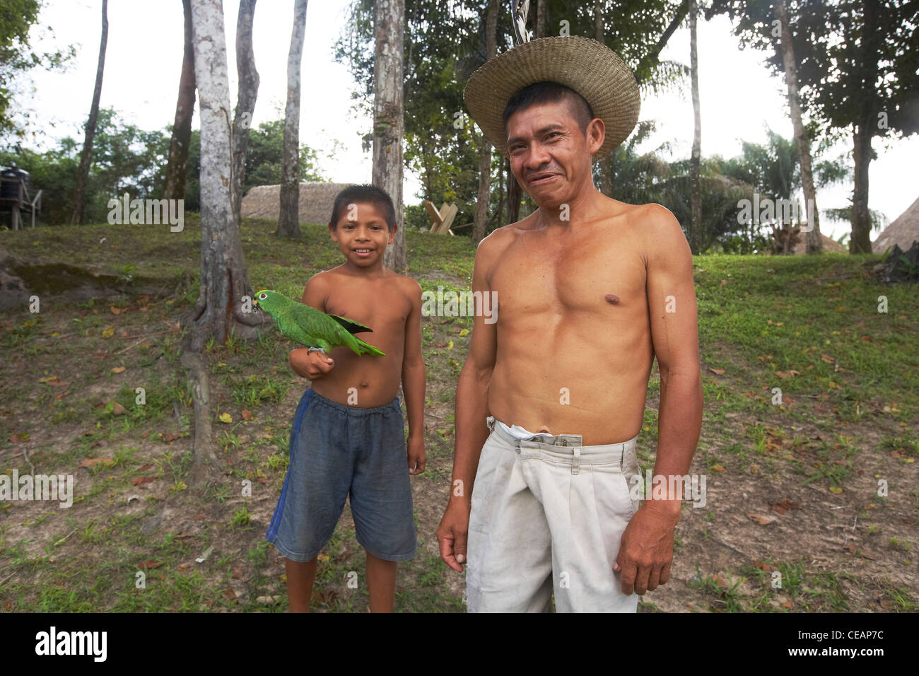 Amerindian villager and boy with his pet parrot, Rewa village, Rupununi, Rewa, Guyana, South America. Stock Photo