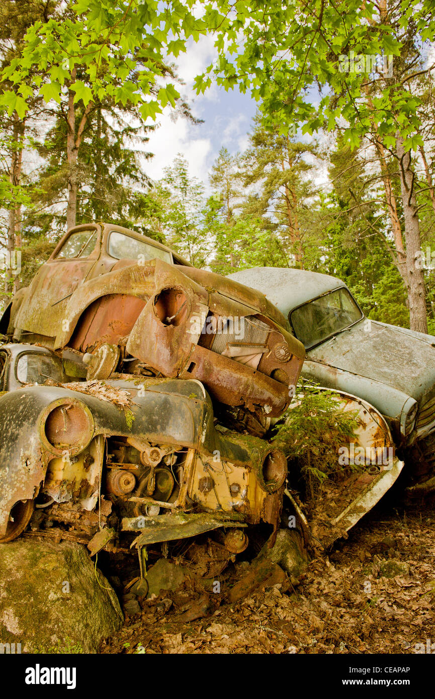 Discarded cars in nature Stock Photo