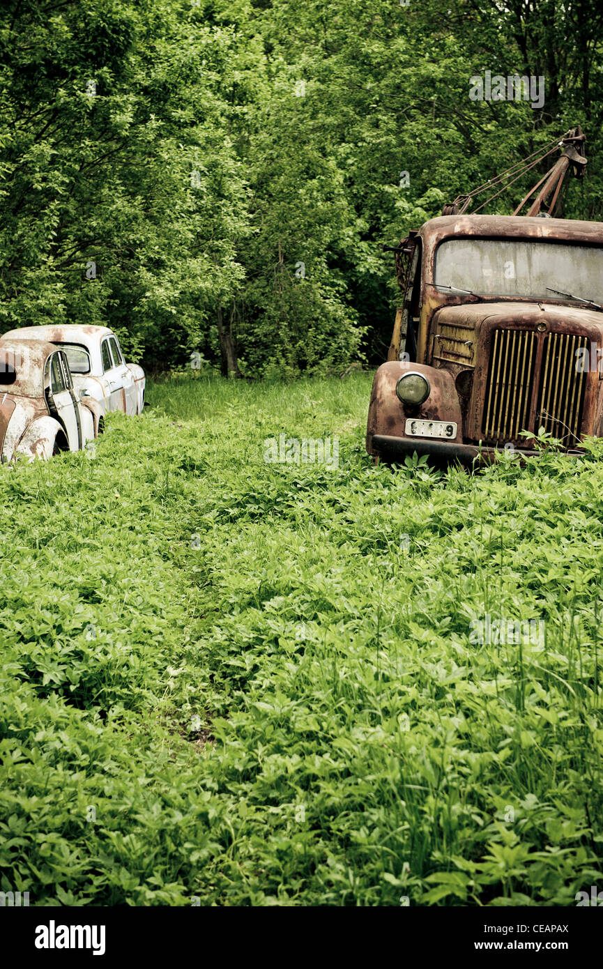 Discarded cars in nature Stock Photo